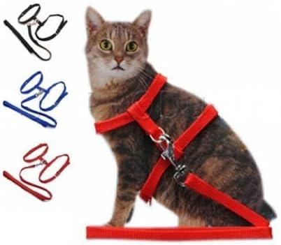 Cat Harness Lead/Leash/Collar RANDOM COLOUR