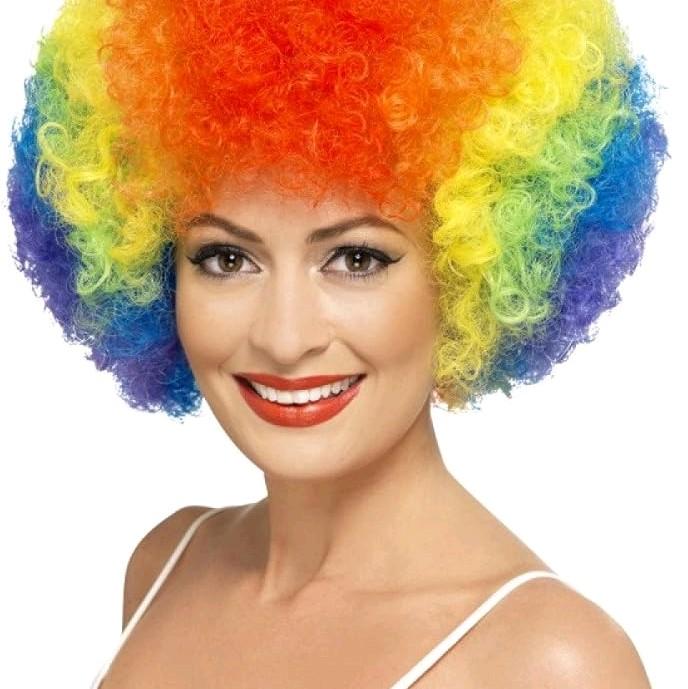 Multi Coloured Clown Wig