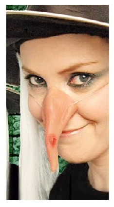 Witch Nose Halloween Accessories