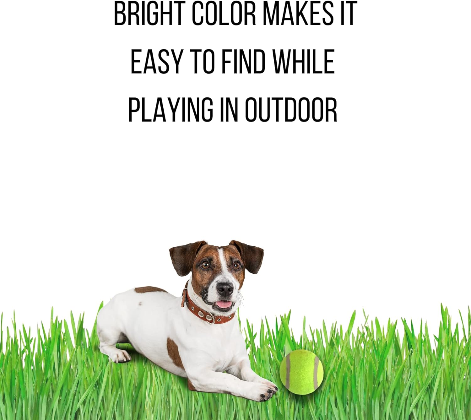 Dog Tennis Balls Toy Strong Standard Size(Pack of 10 Count)