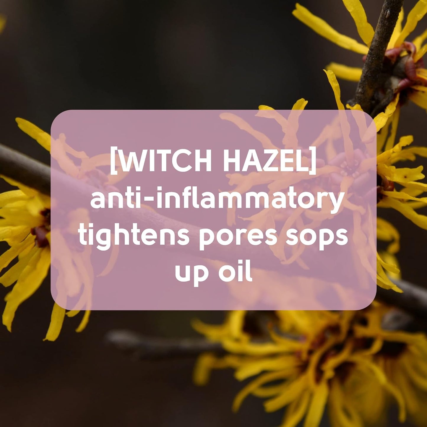 Face Facts Witch Hazel Forehead & Chin Pore Strips